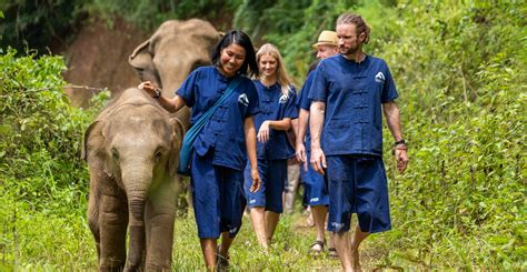 volunteer animals abroad